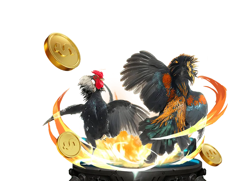 Tổng quan về đá gà trực tuyến tại Tap88 với giao diện đặt cược thân thiện và hình ảnh gà chiến